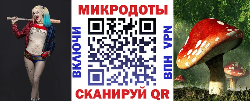 дарнет шоп  Сухой Лог  Галлюциногенные грибы GOLDEN TEACHER 